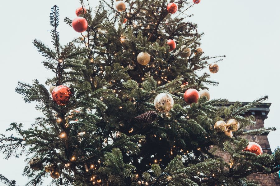 Nhiều ý kiến cho rằng cây thông Noel có nguồn gốc từ truyền thuyết về người tiều phu tốt bụng.
