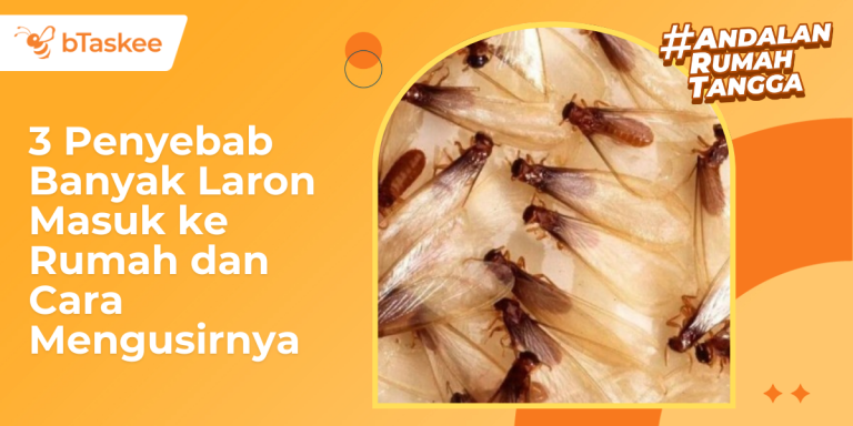 penyebab banyak laron