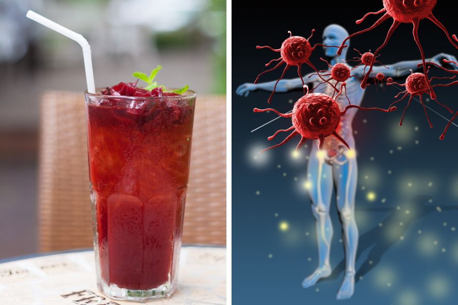 Sử dụng trà và nước ép từ cây Atiso đỏ giúp cơ thể tăng cường sức đề kháng.