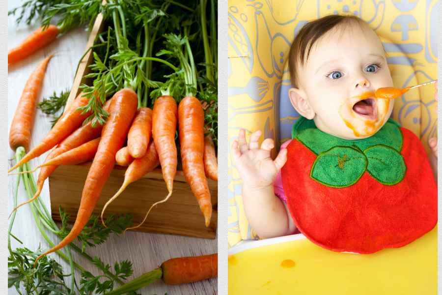 Cà rốt chứa nhiều chất dinh dưỡng quan trọng là thực phẩm hàng đầu giúp trẻ có đôi mắt khỏe.