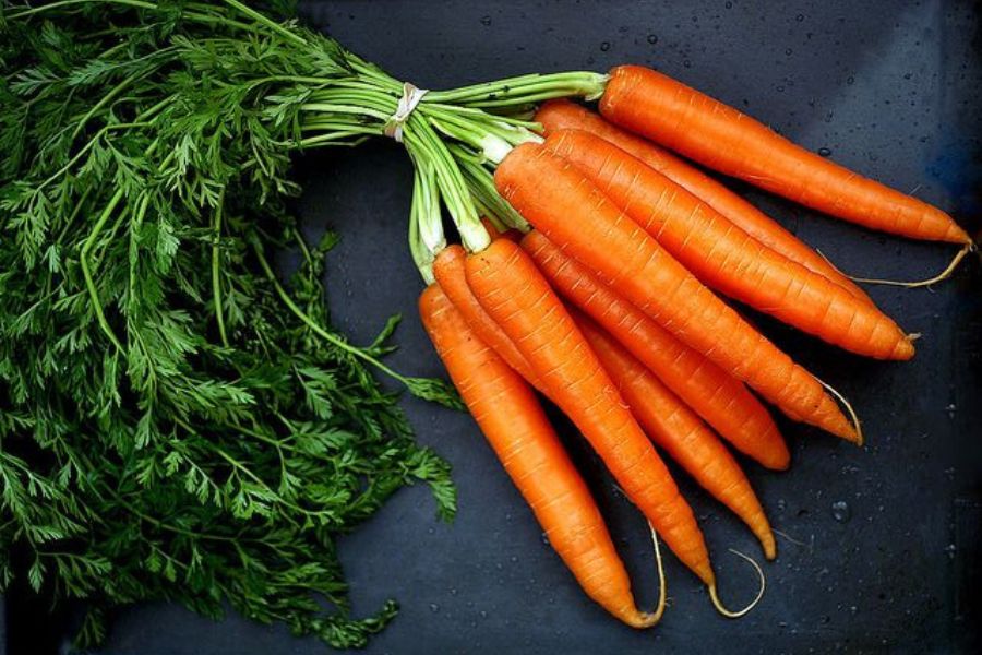 Nên chọn cà rốt còn tươi, không quá to.
