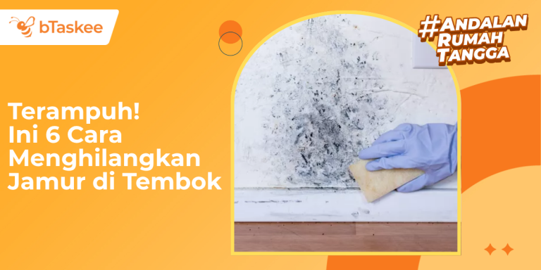 cara menghilangkan jamur di tembok