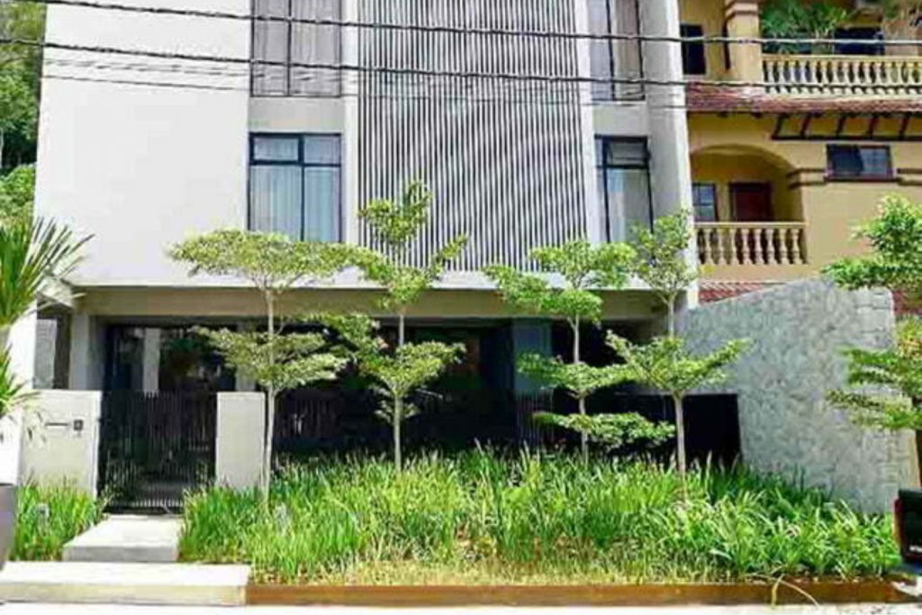 Cắt tỉa bàng Đài Loan tạo thẩm mỹ cho sân vườn nhà.