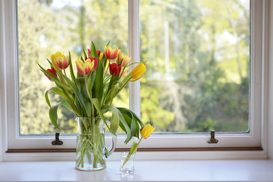 Khi cắm hoa tulip không cần đổ nước đầy bình, vì hoa tulip chỉ hút nước từ đầu cành của chúng.