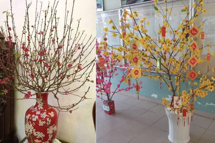 Hoa chưng Tết rực rỡ sắc xuân.