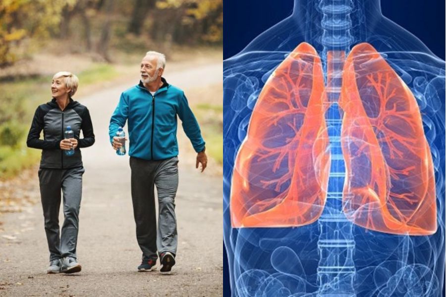 Trong quá trình đi bộ phổi làm việc với năng suất cao nên nó sẽ mở rộng hơn.