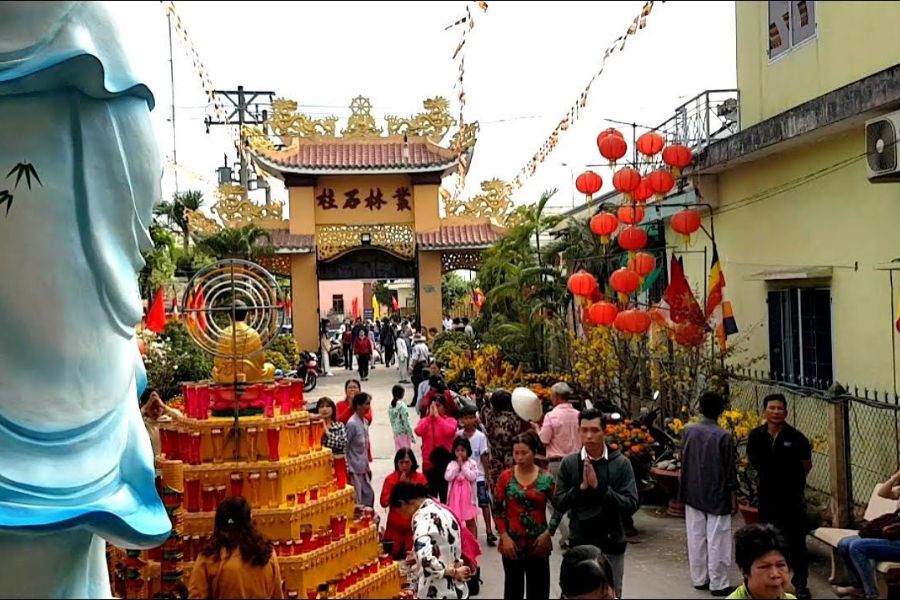 Hái lộc đầu năm mới.