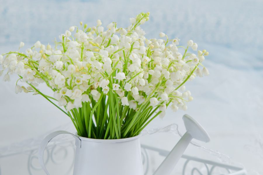Sắc trắng từ hoa linh lan hòa quyện cùng sắc trắng từ bình hoa.