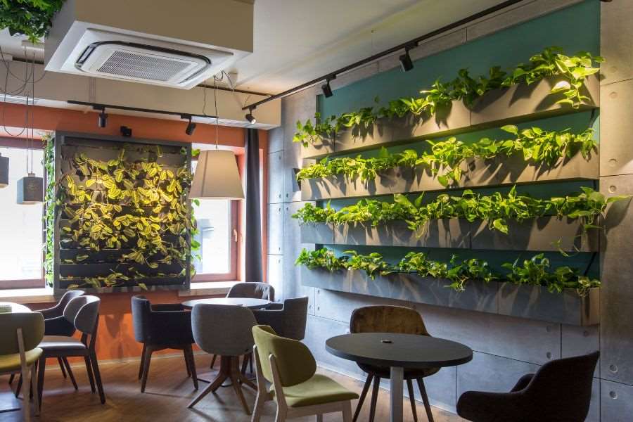 Trồng cây trên tường là một ý tưởng hay giúp quán cafe tối ưu không gian.