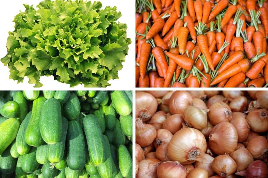 Các nguyên liệu cần có làm salad rau củ - món ăn chống ngán ngày Tết.