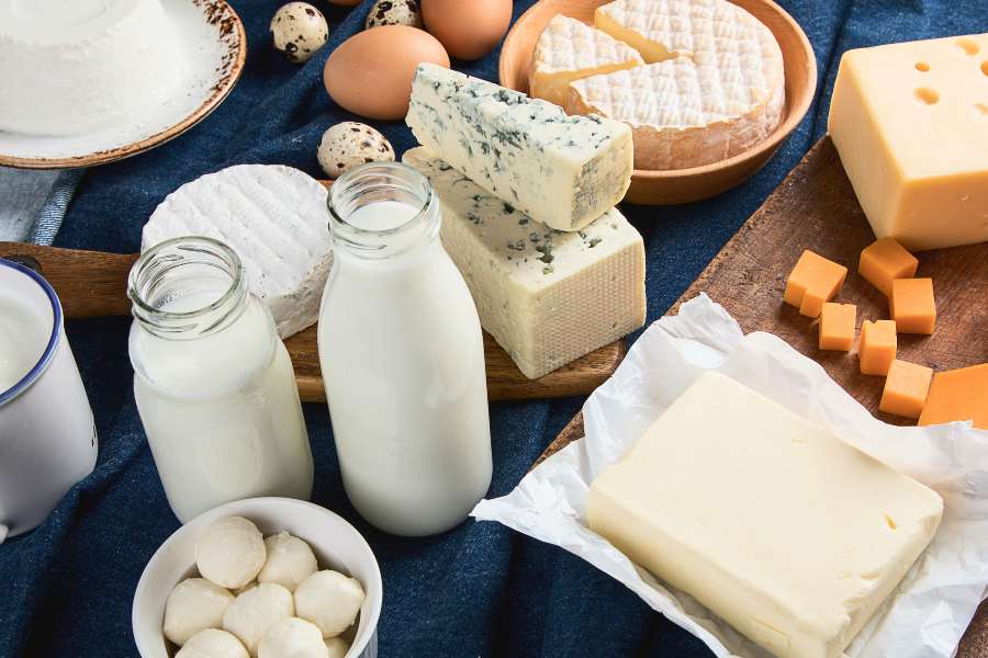 Sữa và các chế phẩm từ sữa cung cấp nguồn dinh dưỡng cao có lợi cho mọi lứa tuổi.