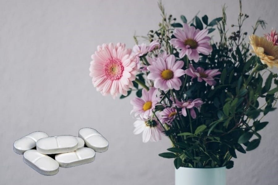 Thuốc aspirin rất được ưa chuộng để giữ cho bình hoa tươi lâu hơn trong dịp Tết.