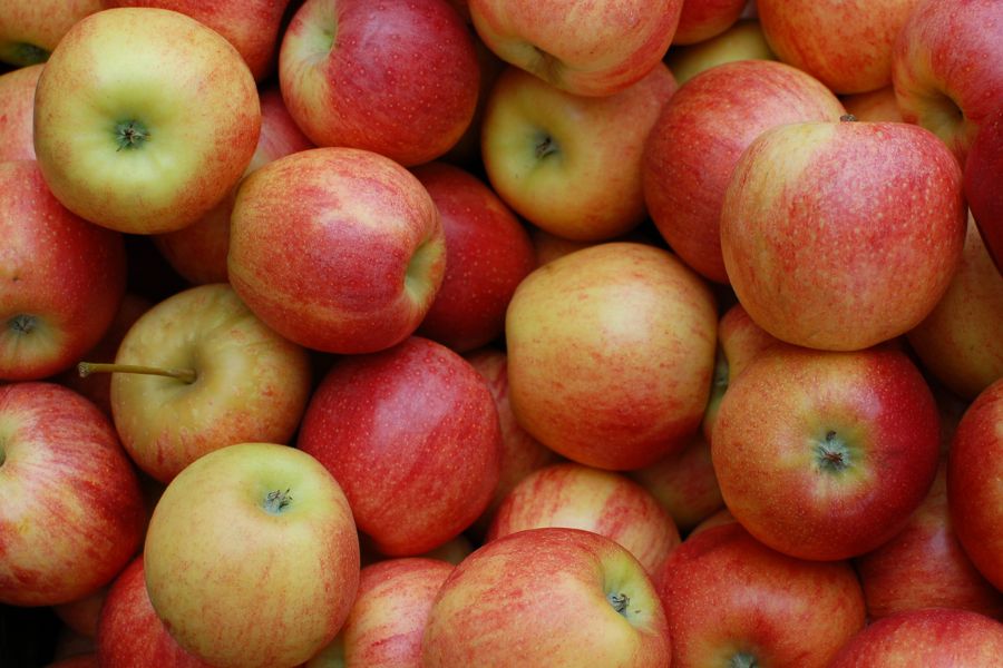 Trong táo có nhiều chất chống oxy hóa, hạn chế lão hóa xương khi về già.