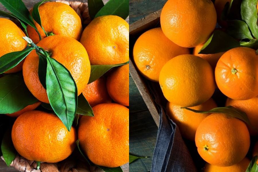 Quýt (trái) và cam (phải) là hai loại trái cây dễ tìm vào dịp Tết.