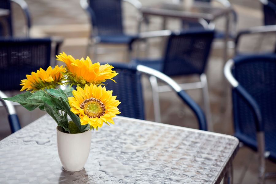 Chậu hoa hướng dương xinh xắn để bàn giúp quán cafe thêm tràn đầy sức sống.