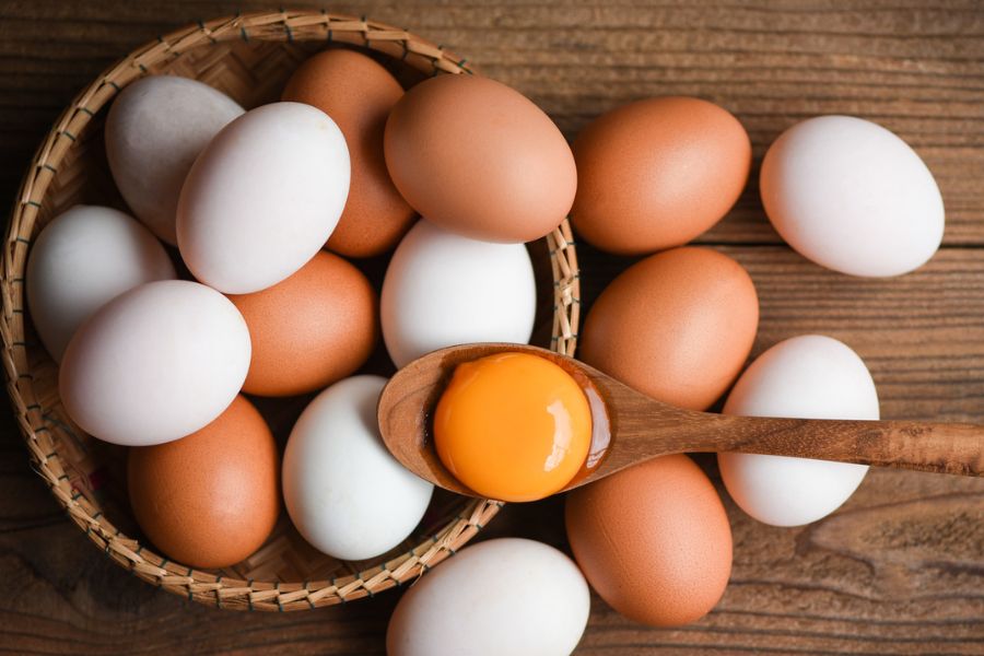 Trứng là một nguồn cung cấp protein chất lượng cao và nhiều dưỡng chất khác