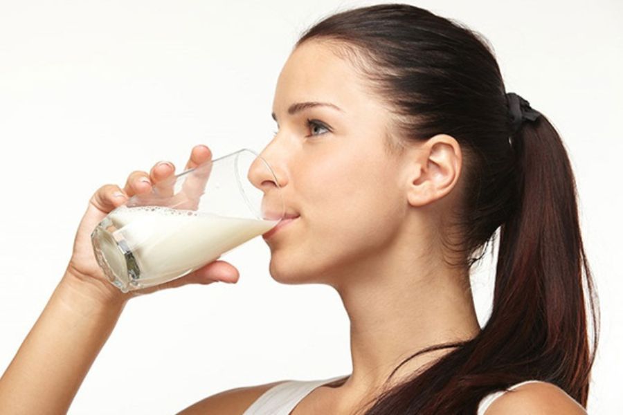 Uống sữa bắp không gây ra tình trạng béo phì.