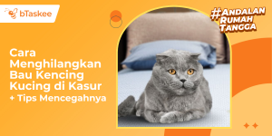 Cara Menghilangkan Bau Kencing Kucing di Kasur