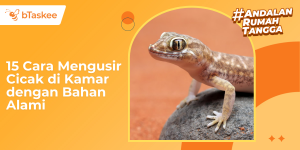 15 Cara Mengusir Cicak di Kamar dengan Bahan Alami