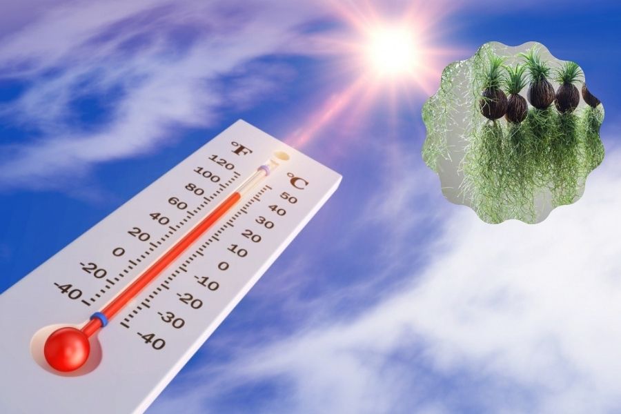 Đảm bảo nhiệt độ ở mức trung bình cho Không khí.