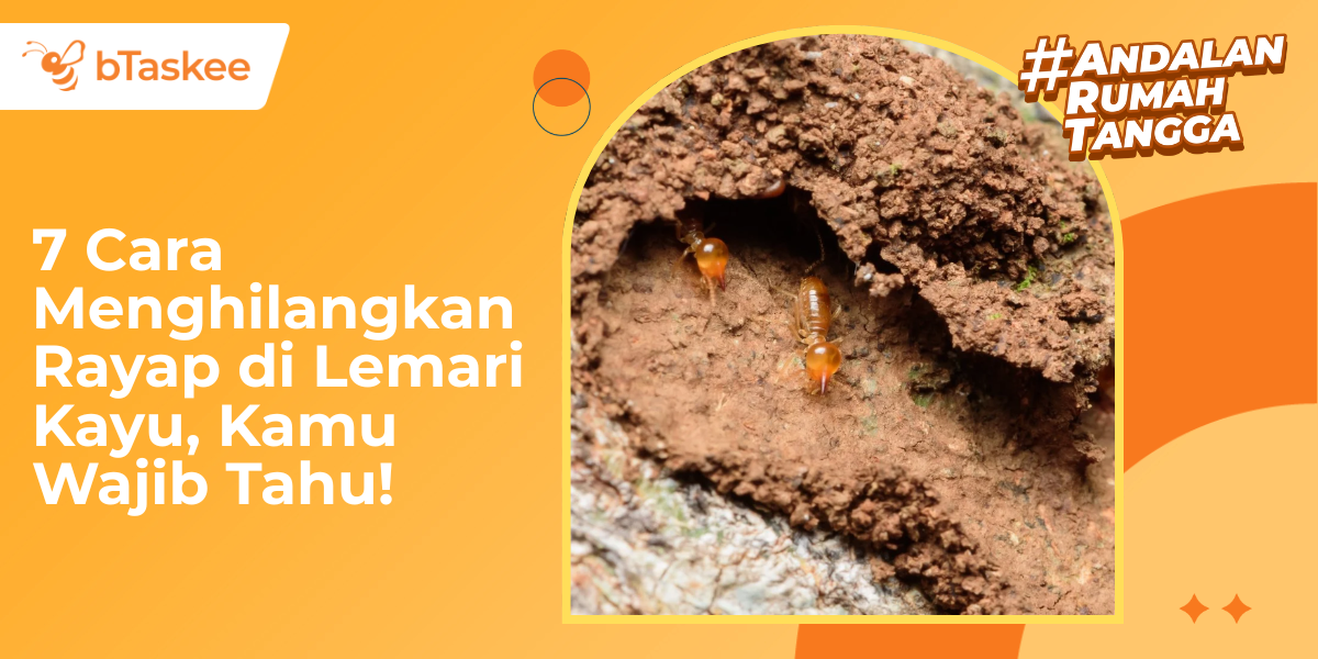 cara menghilangkan rayap di lemari kayu