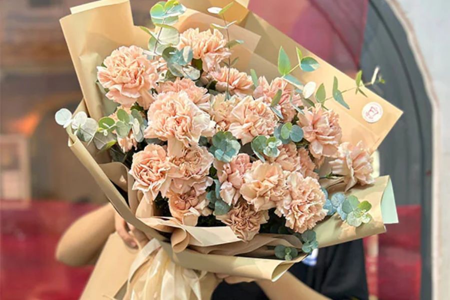 Hoa cẩm chướng có ý nghĩa về sự yêu mến và niềm tự hào.