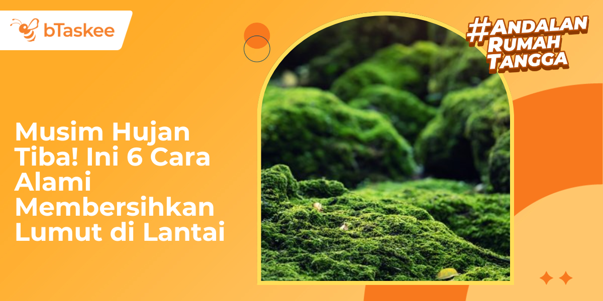 cara membersihkan lumut di lantai