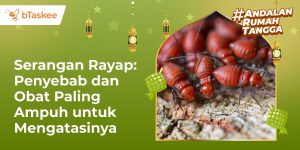 obat rayap paling ampuh