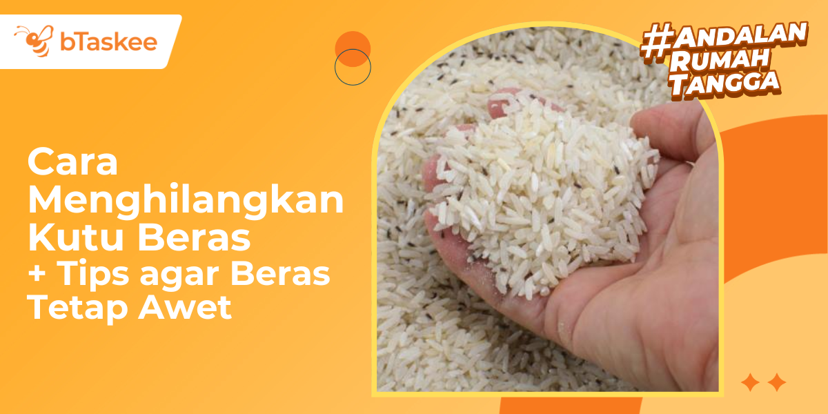 Cara Menghilangkan Kutu Beras + Tips agar Beras Tetap Awet