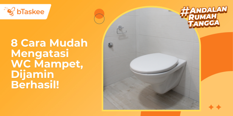 8 Cara Mudah Mengatasi WC Mampet