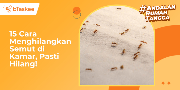 15 Cara Menghilangkan Semut