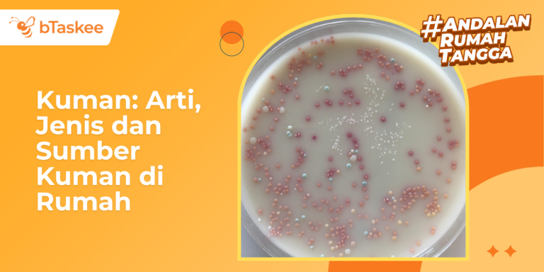 Apa itu Kuman