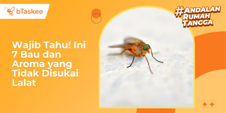 Bau yang Tidak Disukai Lalat
