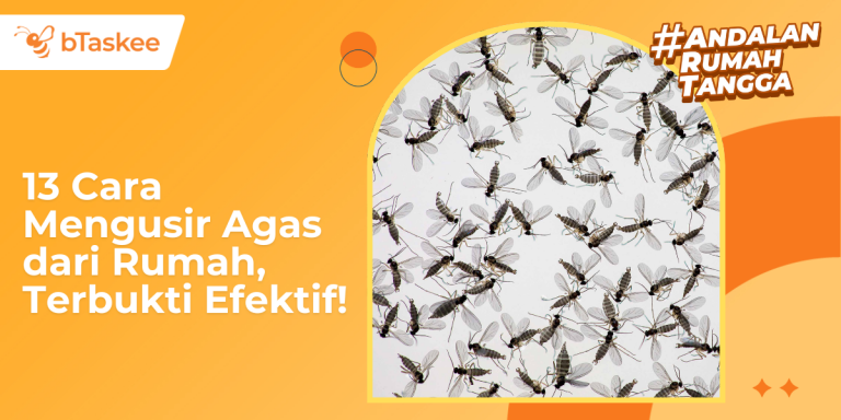 13 Cara Mengusir Agas dari Rumah, Terbukti Efektif!