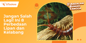 Jangan Salah Lagi! Ini 8 Perbedaan Lipan dan Kelabang