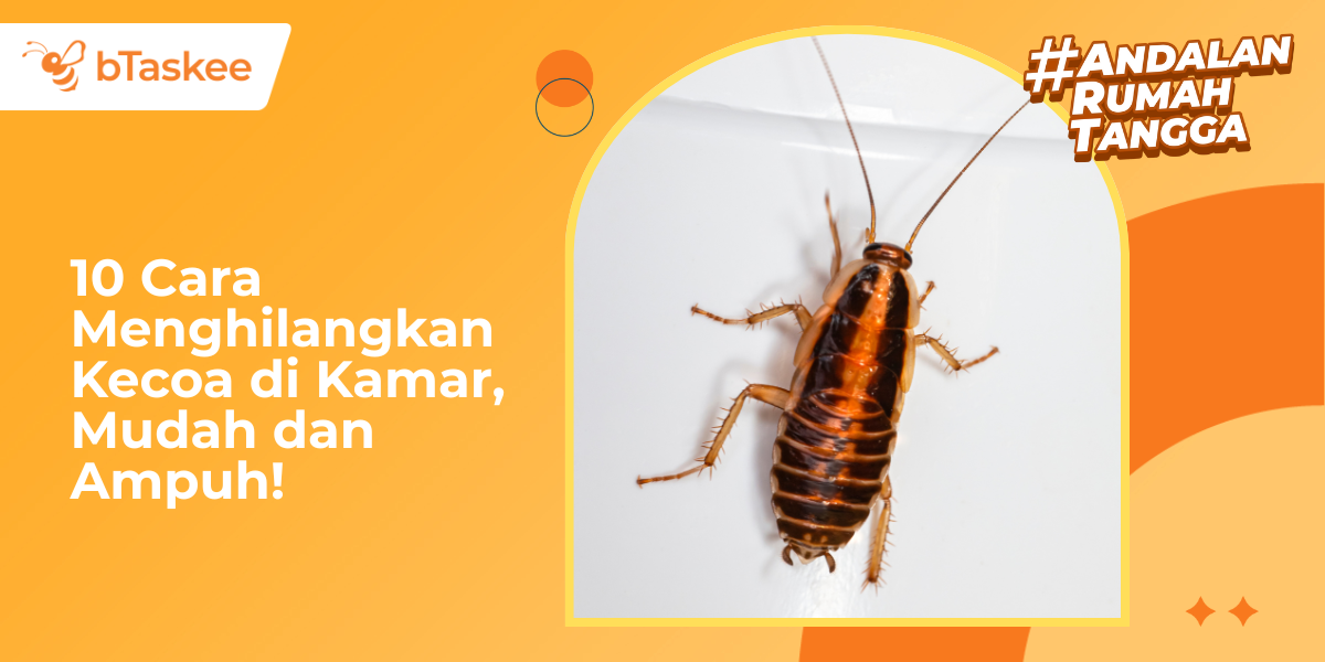 10 Cara Menghilangkan Kecoa di Kamar