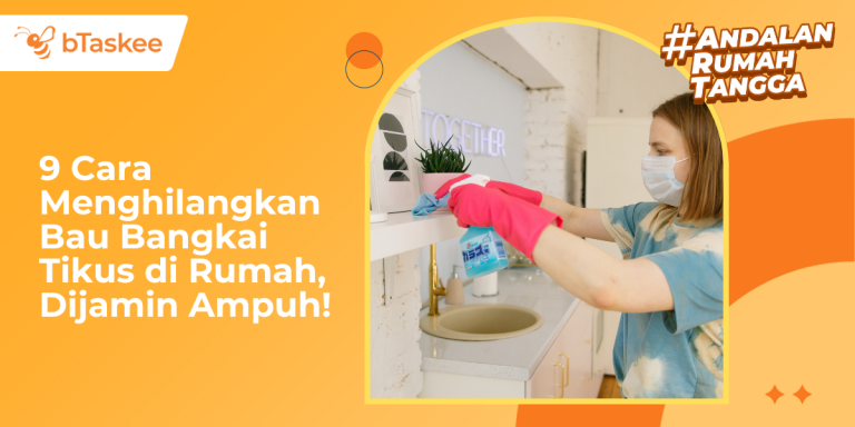 Cara Menghilangkan Bau Bangkai Tikus