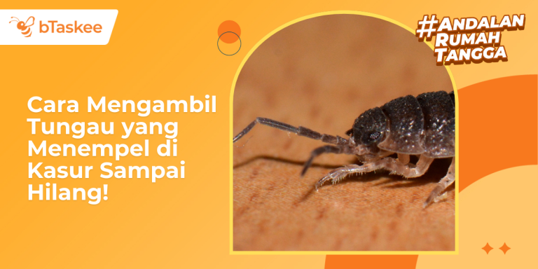 Cara Mengambil Tungau yang Menempel