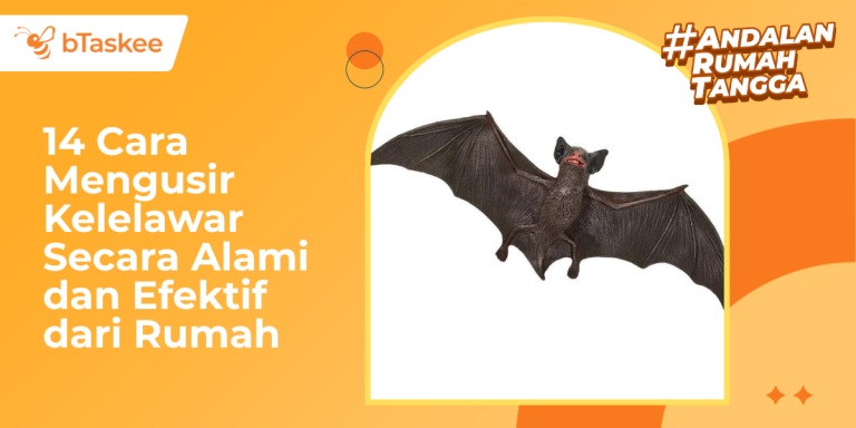cara mengusir kelelawar