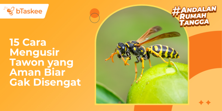 Cara Mengusir Tawon yang Aman Biar Gak Disengat