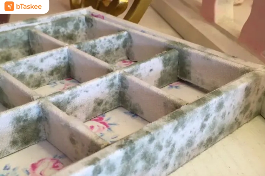 Độ ẩm cao gây ẩm mốc đồ dùng trong nhà.