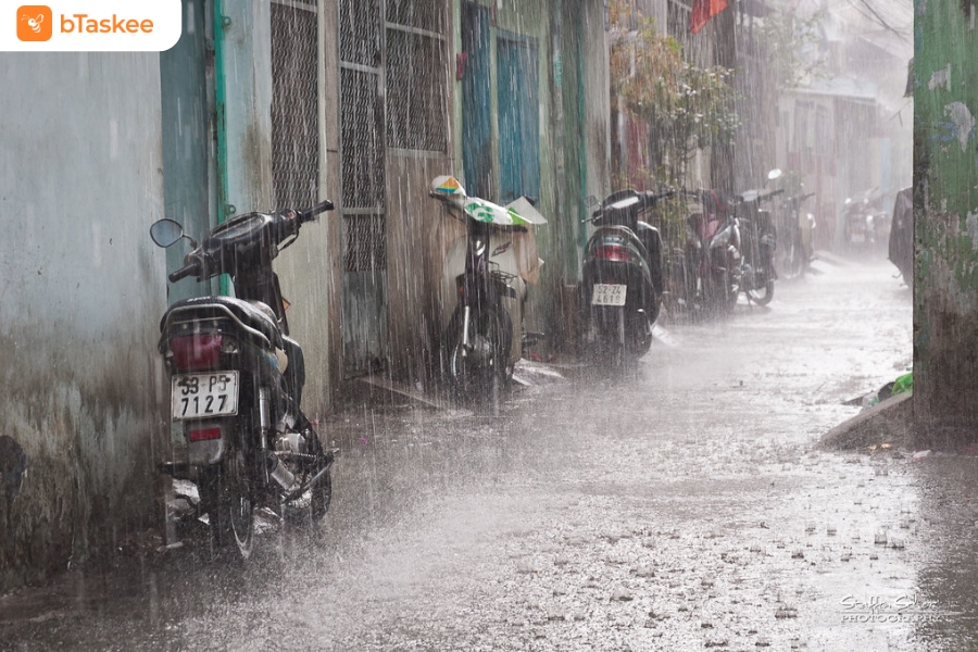 Thời tiết mưa nhiều làm độ ẩm tăng cao.