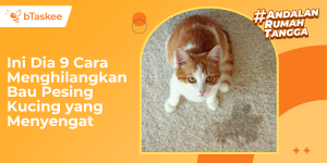 cara menghilangkan bau pesing kucing
