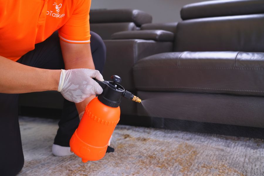 Giặt thảm với dung dịch tẩy rửa chuyên dụng, an toàn.