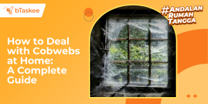 How to Deal with Cobwebs at Home: A Complete Guide