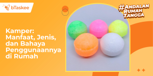 Kamper: Manfaat, Jenis, dan Bahaya Penggunaannya di Rumah