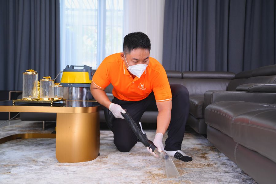 Tasker hút bụi thảm.