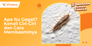 Apa Itu Gegat? Kenali Ciri-Ciri dan Cara Membasminya