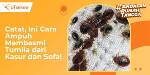 Catat, Ini Cara Ampuh Membasmi Tumila dari Kasur dan Sofa!