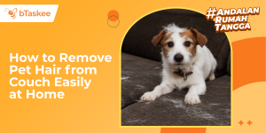 How to Remove Pet Hair from Couch Easily at Home